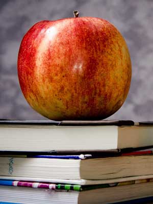 云端存储系统的恶意发送验证短信